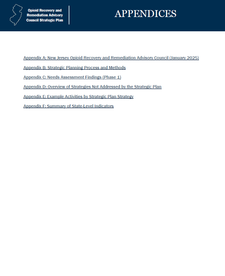 2025D - Appendices Strategic Plan Cover